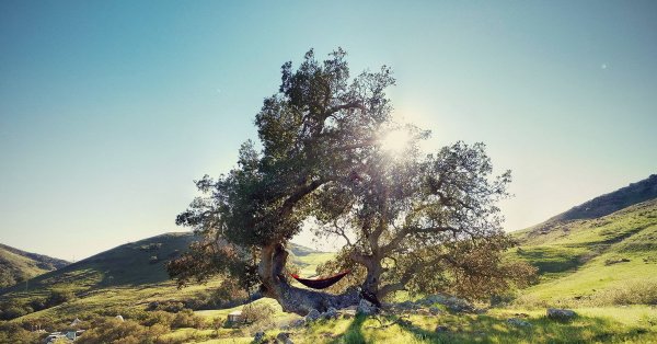 Красивый пейзаж веселый