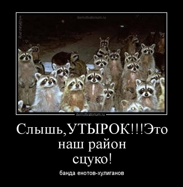 Банда прикол