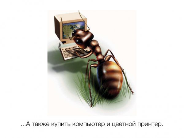 Муравей с грузом