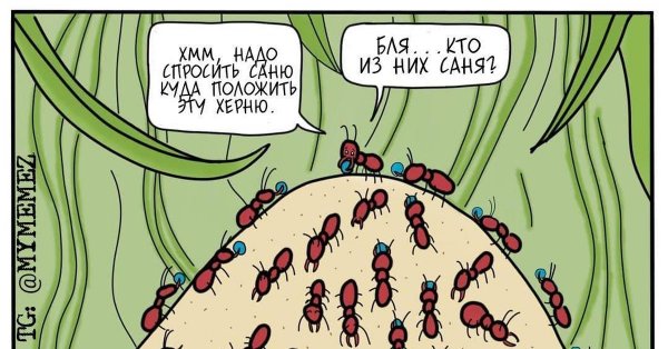 Муравей Строитель
