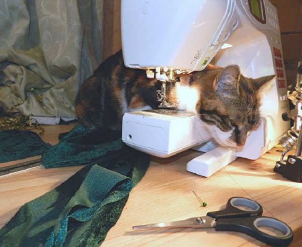 Коты и Швейные машинки