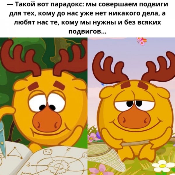 Лосяш приколы