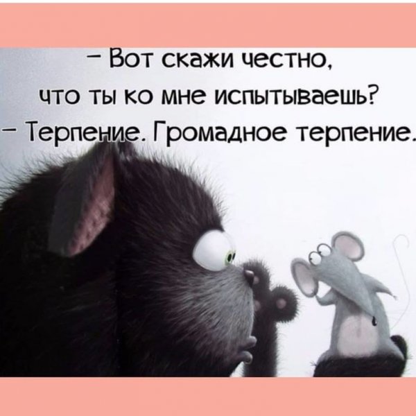 Шутки про терпение