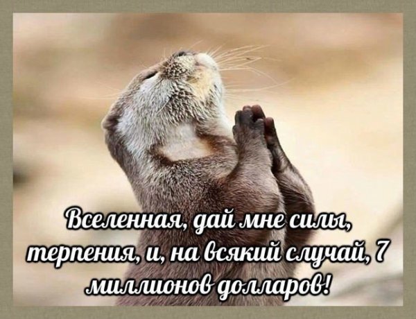 Боже дай мне сил и терпения