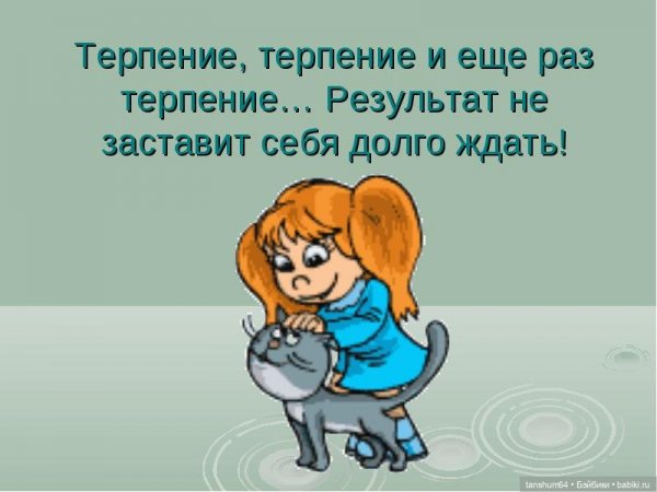 Терпение мой друг терпение