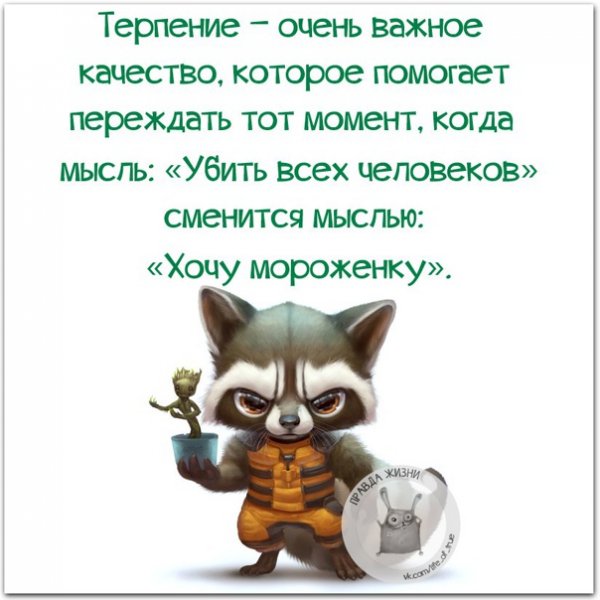 Терпение цитаты