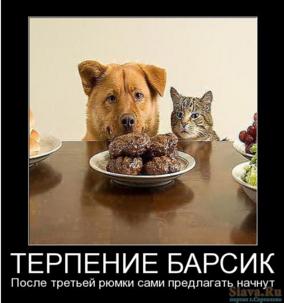 Терпение демотиватор