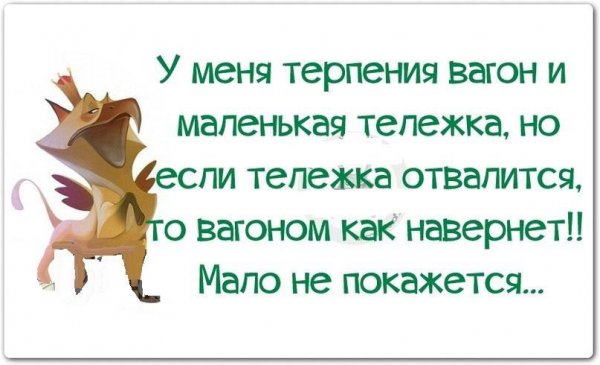 Смешные фразы про терпение