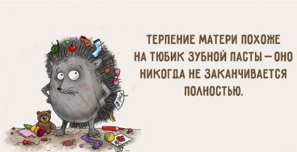 Цитаты про терпение с юмором