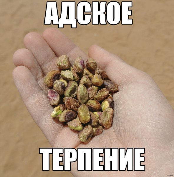 Смешное про терпение