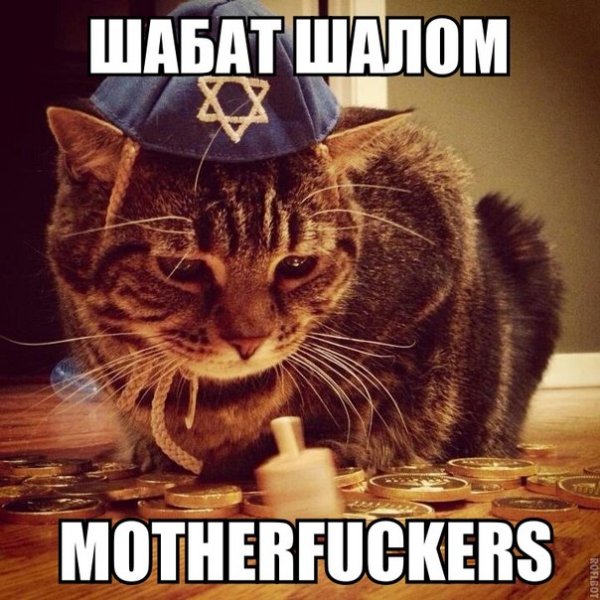 Шабат Шалом прикол