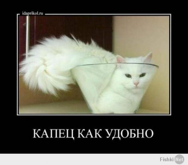 Капец картинки