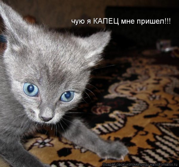 Мне капец картинка