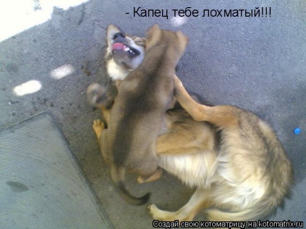 Капец картинки прикольные