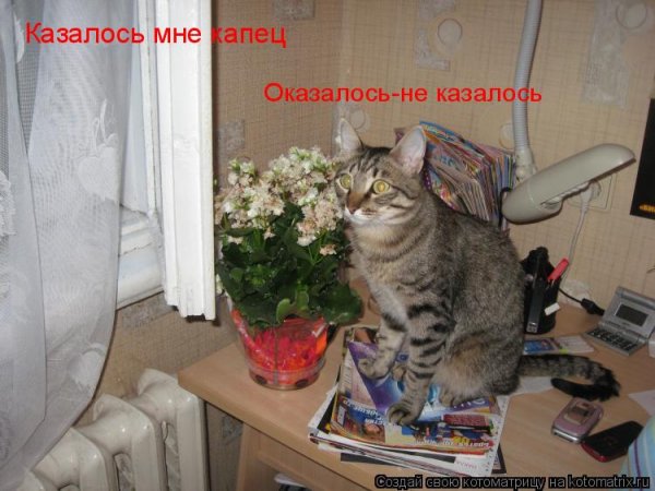 Мне капец