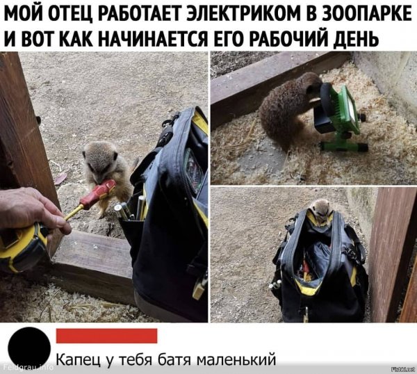 Капец у тебя батя маленький