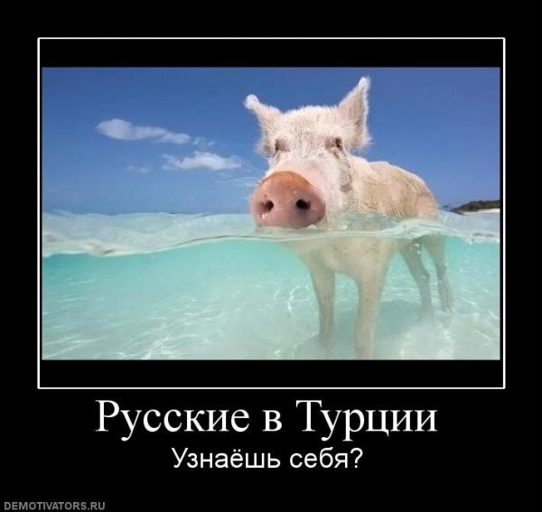 Турция прикол