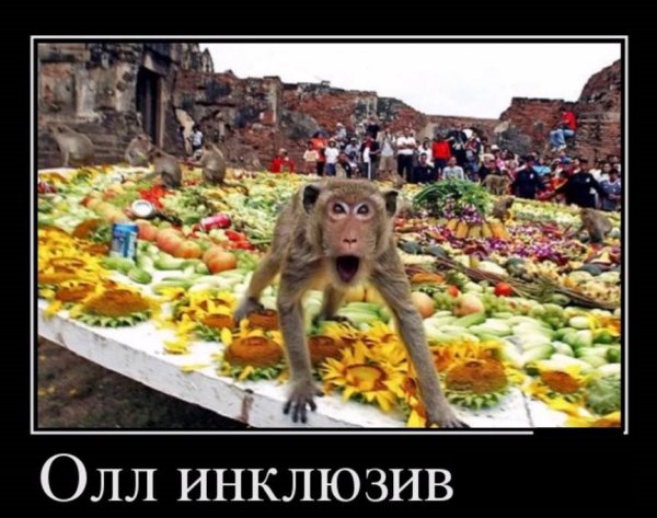 Турция демотиватор