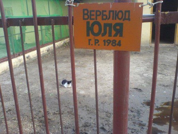 Приколы про Юлю