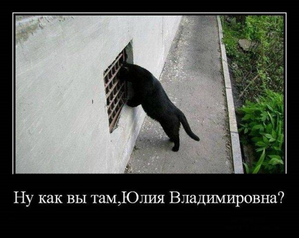 Юлька приколы