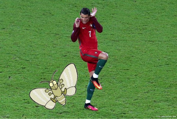 Гримасы спорта