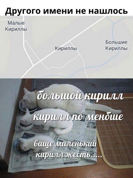 Прикольные фото