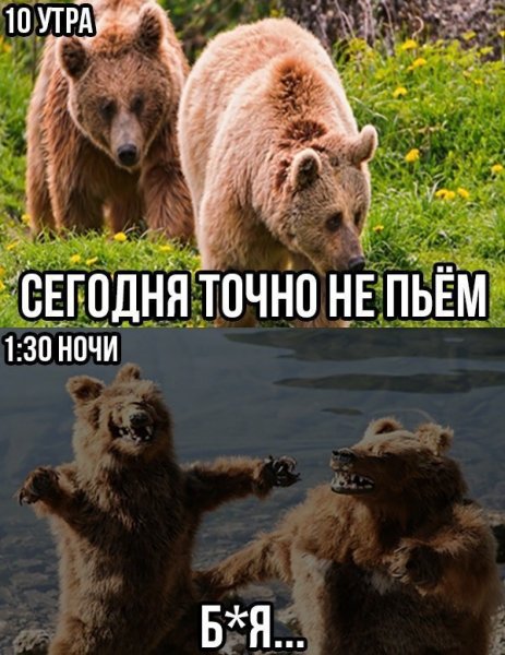 Веселые ситуации