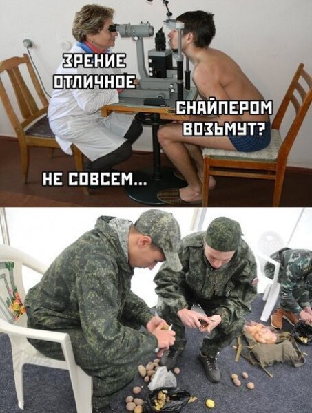 Селфи животных