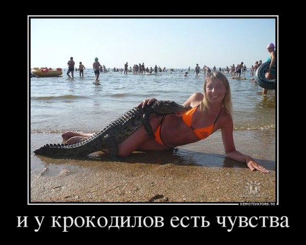 Мемы про кухню и женщин