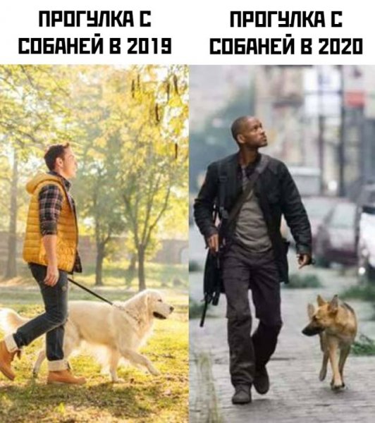 Собака с бокалом