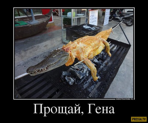 Кайфолог ру картинки