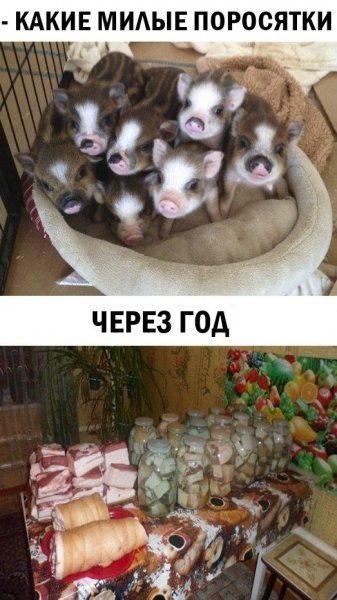 Веселые карикатуры для поднятия настроения