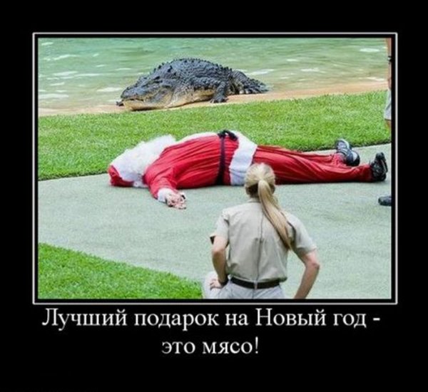 Черный кот демотиватор