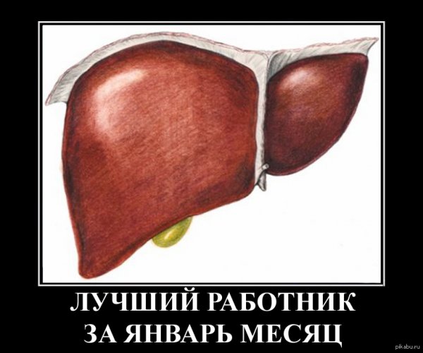 Шутки про печень