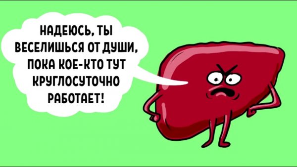 Берегите печень