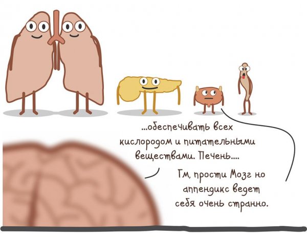 Печень приколы картинки