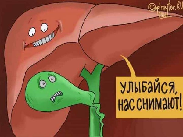 Веселый желчный пузырь