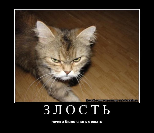 Картинки про злость смешные