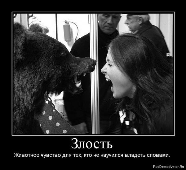 Демотиваторы злые