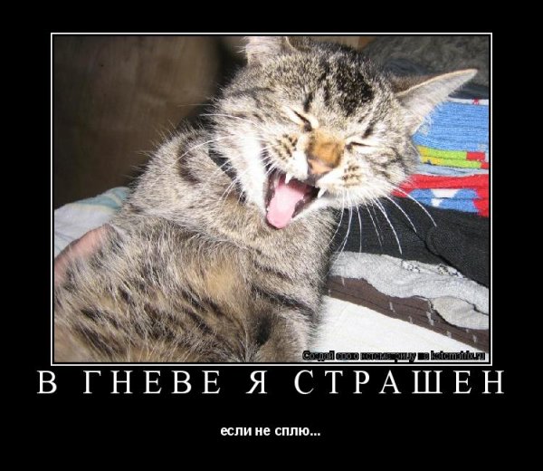 Я В гневе картинки