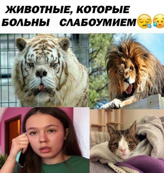 Мемы ИНСТАСАМКИ