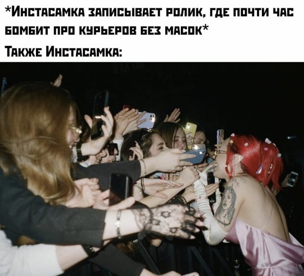 Инстасамка тупая
