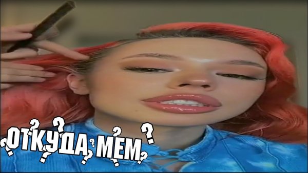 Инстасамка мемы