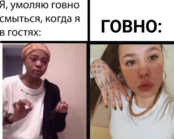 Мемасы про инсто самку