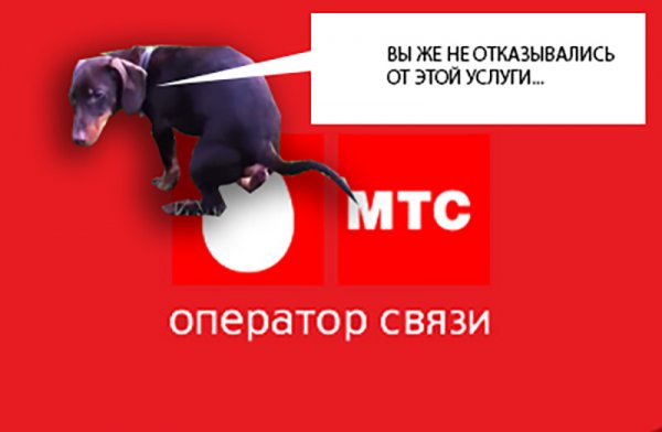 Картинки МТС прикольные