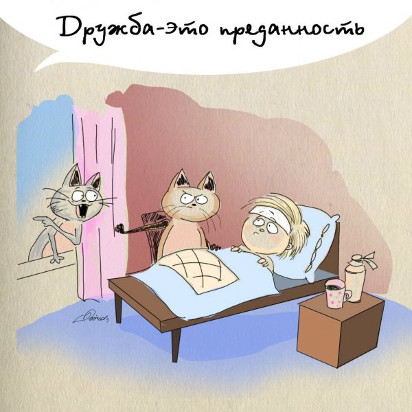 Прикольные фразы про дружбу