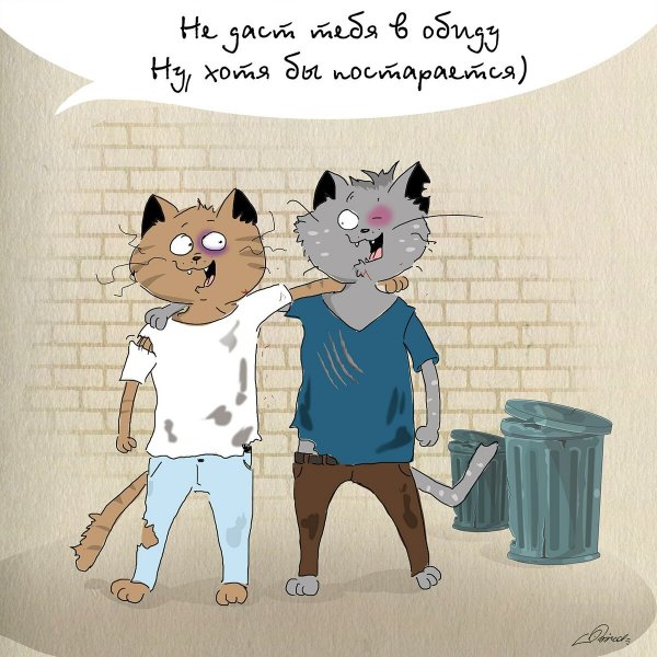 Приколы про дружбу