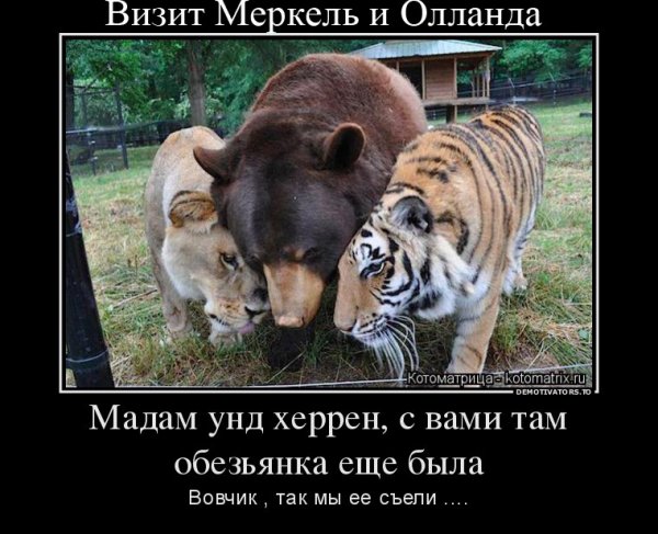 Прикольные фото про дружбу