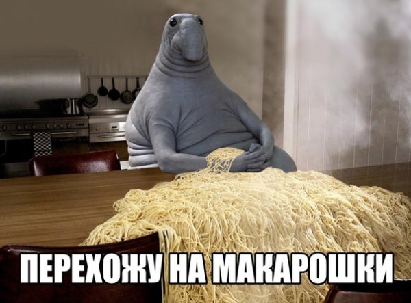 Веселый Ждун