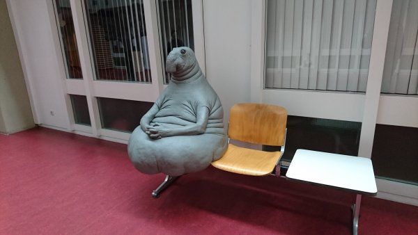 Ждун в Лейдене